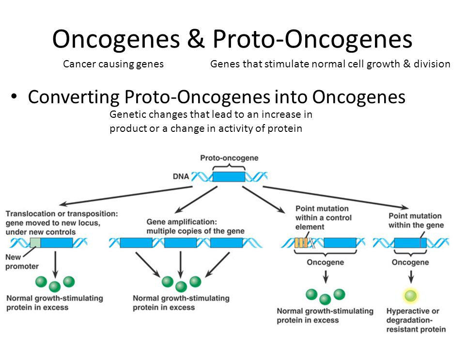 Proto-oncogenes